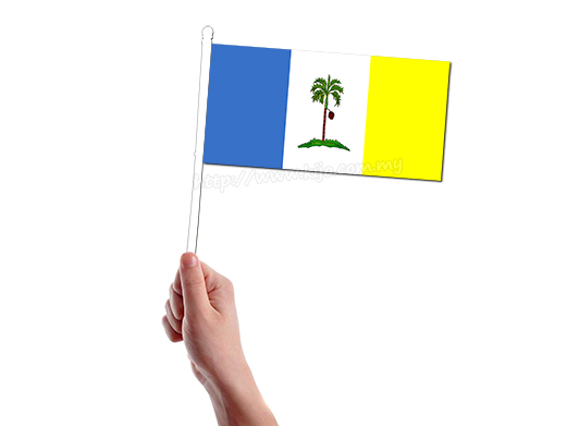 15cm X 30cm Pulau Pinang Hand Flag 
